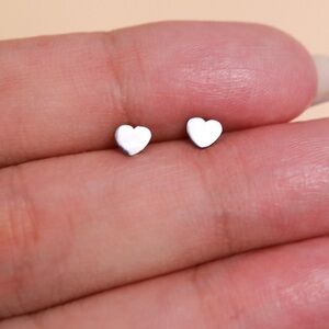 Heart Shaped Titanium Earrings